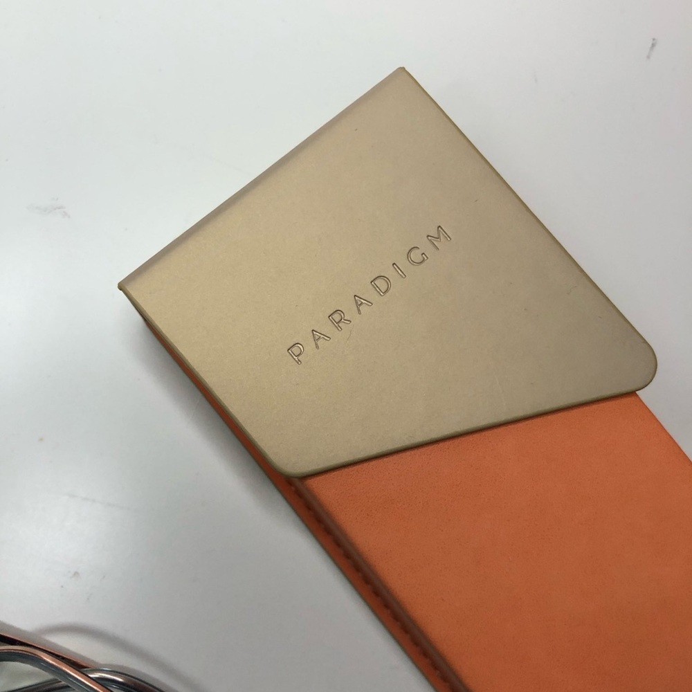 Authentic Paradigm Frame - Picture 3 of 6